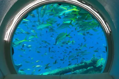 ocean-lens-5.jpeg